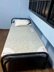 Blk 684 Race Course Road (Kallang/Whampoa), HDB 4 Rooms #563779161